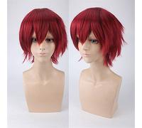 Cos perruque juvénile anti-bouclée cheveux courts couleur universelle perruque pour homme cosplay anime perruque couleur : PL-002-15#rouge foncé