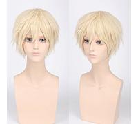 Cos perruque juvénile inversée déformée cheveux courts couleur universelle perruque pour homme cosplay anime perruque couleur : PL-002-13 #