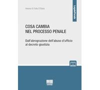 Cosa cambia nel processo penale. Dall'abrograzione dell'abuso d'ufficio al decreto giustizia. Con espansione online