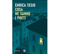 Cosa ne sanno i poeti