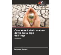 Cosa non è stato ancora detto sulla diga dell'Inga: 2a edizione