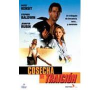Cosecha De Traicion [Import]