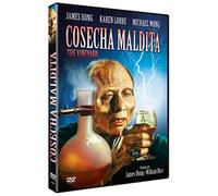 Cosecha Maldita DVD 1989 The Vineyard [Import]