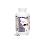 Cosequin¹ Advanced HA support articulation arthrose chien 40 a 250 comprimés