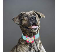 Cosiki Adorable Collier de Dressage coloré en Microfibre pour Chien et Chat pour Jouer, Faire de L'exercice et Photographier, fabriqué à Partir de Matériaux de qualité Supérieure, Réglable pour la (M)