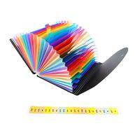 Cosiki Organisateur de Fichiers, Organisateur de Fichiers Accordion à Usage Multiple Dossier de Expansion 24 POCHETS A4 TABS COLORED TABS Lables Sac de de l'accès Rapide pour Documents Office