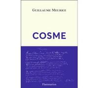 Cosme Guillaume Meurice (Auteur)