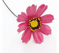 Cosmea - Individuel Rose