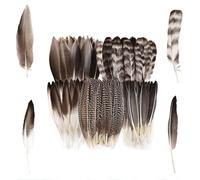 Cosmeria Plumes pour L'Artisanat, Plumes Blanches De Haute Qualité pour Attrape-Rêves Et Projets Créatifs, Idéal pour Décorer Et Bricoler pour Tous Les Âges