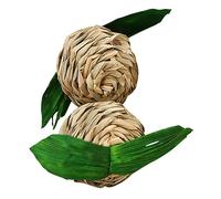 COSMEVIVI 2pièces Boules Paille Tressées pour Animaux De Compagnie Lot de Jouets à Mâcher pour Hamsters Et Lapins Accessoires De Formation Amusants Et Stimulants