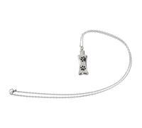 COSMEVIVI Collier Commémoratif Acier Inoxydable pour Cendres De Chien Pendentif Urne Funéraire Bijou Mémorial pour Garder Les Souvenirs Près du Cœur