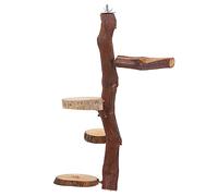 COSMEVIVI Support pour Oiseaux Planche De Saut Délicate pour Perruches Et Perroquets Jouet Entraînement pour Animaux De Compagnie Accessoire Pratique à Installer La Maison