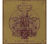 Cosmic Awakening