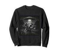 Cosmic Fetch Encounter - Moment OVNI Dog Sweatshirt