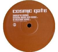Cosmic Gate Ft Tiff Lacey - Should Have Known [Import]