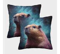 Cosmic Rodent-Fantasy Animal Art Housse Coussin 2 Pièces Available All Seasons Taie d'oreiller Décor Confortable Taies d'oreiller pour Canapé LiterieCanapé 40x40cm