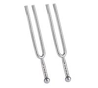 Cosmin Lot de 2 diapasons en acier inoxydable - 440 Hz - Pour instrument de musique