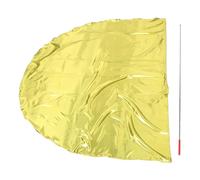 COSMOBETTY Drapeaux de Danse Culte de Demi-cercle Jaune, Tissu Portable et Acier Inoxydable, pour Routines de Danse et Cérémonies D'ouverture Sportives