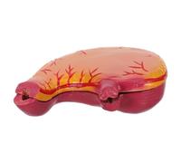 COSMOBETTY Modèle Anatomique de L'estomac en Plastique pour Étude et Formation, Facile à Nettoyer Visualisation Claire de L'anatomie, pour Usage en Salle de Classe