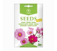 Cosmos, Graines prêt à Pousser Minigarden, 100% Naturelles sans Propagateurs Chimiques ni Génie Génétique, inclut entre 120 et 160 graines