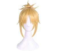 Cosplay Fate/Apocrypha Sabre de Rouge (Mordred) Perruques Anime Courte Résistant à la chaleur de la chaleur Résistant à la chaleur Fibre Syrides Doifs 16inches chenghuax