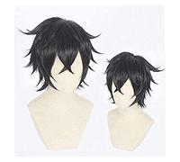 Cosplay Perruques de cosplay longues et droites anime, Tate no Yuusha no Nariagari Raphtalia Cosplay Wigs for The Leing of The Shield Hero Costume Christmas Halloween Cosplay Wig (Color : 2) Beauty