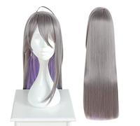 Cosplay Wig Anime Wig Hypnosis Mic Division Rap Battle Cosplay Jakurai Jinguji Perruque, Perruque longue et droite, Perruque de déguisement d'Halloween, for Halloween, Fête costumée, Spectacle d'anime