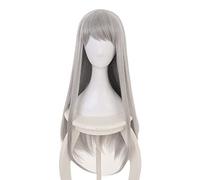 Cosplay Wig Perruque Anime Blend S Cosplay Perruque Hideri Kanzaki, Perruque Argentée Longue Droite, Perruque Costume Halloween, for Halloween, Fête Costumée, Spectacle Anime, Événement Cosplay, Conce