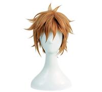 Cosplay Wig Perruque Anime Bungo Stray Dogs Cosplay Perruque Junichiro Tanizaki, Perruque Brune Courte, Perruque Costume Halloween, for Halloween, Fête Costumée, Spectacle Anime, Événement Cosplay, Co