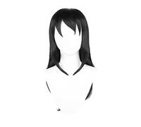Cosplay Wig Perruque Anime Demon Slayer Kimetsu no Yaiba Cosplay Perruque Suma, Longue Perruque Noire, Perruque Costume Halloween, for Halloween, Fête Costumée, Spectacle Anime, Événement Cosplay, Con