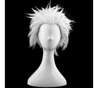 Cosplay Wig Perruque Anime Fate Cosplay Perruque Emiya Shirou, Perruque Courte, Perruque Halloween Costume, for Halloween, Fête Costumée, Spectacle Anime, Événement Cosplay, Concerts (Couleur: Rouge)