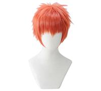 Cosplay Wig Perruque Anime Fate Cosplay Perruque Emiya Shirou, Perruque Courte, Perruque Halloween Costume, for Halloween, Fête Costumée, Spectacle Anime, Événement Cosplay, Concerts (Couleur: Rouge)