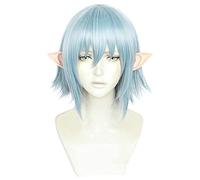 Cosplay Wig Perruque Anime Final Fantasy XIV Cosplay Haurchefant Greystone Perruque, Perruque Bleue Courte, Perruque Halloween Costume, for Halloween, Fête Costumée, Spectacle Anime, Événement Cosplay