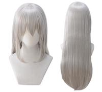 Cosplay Wig Perruque Anime for Rozen Maiden Suigintou Perruque Cosplay, Perruque Longue Grise, Perruque Halloween Costume, for Halloween, Fête Costumée, Spectacle Anime, Événement Cosplay, Concerts
