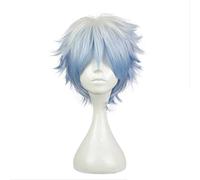 Cosplay Wig Perruque Anime Gintama Cosplay Perruque Sakata Gintoki, Perruque Anime, Perruque Costume Halloween, for Halloween, Fête costumée, Spectacle d'anime, Événement cosplay, Concerts (Couleur: B