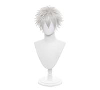 Cosplay Wig Perruque Anime Gintama Cosplay Perruque Sakata Gintoki, Perruque Anime, Perruque Costume Halloween, for Halloween, Fête costumée, Spectacle d'anime, Événement cosplay, Concerts (Couleur: B