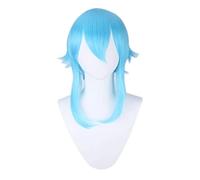 Cosplay Wig Perruque Anime Sword Art Online Cosplay Perruque Asada Shino, Perruque Bleue Courte, Perruque Costume Halloween, for Halloween, Fête Costumée, Spectacle Anime, Événement Cosplay, Concerts