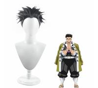 Cosplay Wig Perruque de cosplay anime, perruque de tueur de démons, perruque de cheveux courts duveteux gris noir for perruques de jeu de rôle Himejima Gyoumei avec bonnet de perruque, for la fête quo
