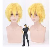 cosplay wig working cell platelet white blood cell red blood cell blood cell killer T cell ball macrophage color: killer T cell (PL-062)