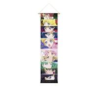 CosplayStudio Grand poster déroulant/kakemono Sailor Moon Crystal, en tissu, 135 x 33 cm, motif : découpes pour les yeux des guerriers de Sailor
