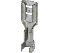 Cosse clip 4.8 mm x 0.8 mm Phoenix Contact C-SCF 1,5/4,8X0,8 3240155 180 ° non