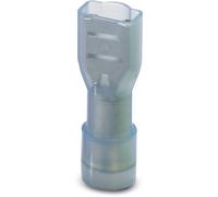 Cosse clip 4.8 mm x 0.8 mm Phoenix Contact C-SCFFI 2,5/4,8X0,8 3240540 180 ° entièrement isolé bl