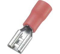 Cosse clip 4.8 mm x 0.8 mm TRU COMPONENTS FDD1.25-187(8) 180 ° partiellement isolé rouge 100 pc(s)