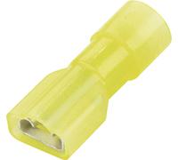 Cosse clip 6.3 mm x 0.8 mm Vogt Verbindungstechnik 3967S 180 ° entièrement isolé jaune