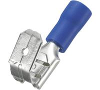 Cosse clip 6.4 mm x 0.8 mm TRU COMPONENTS PBDD2-250 avec dérivation 180 ° partiellement isolé bleu 50 pc(s)