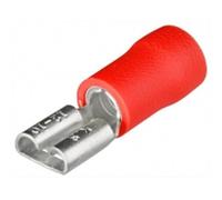 Cosse Clips Femelle