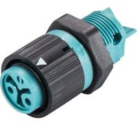 Cosse cylindrique mâle Wieland Electric 46.031.5051.6 embase femelle Nombre total de pôles: 2 Série (connecteur rond): RST® MINI 1 pc(s)