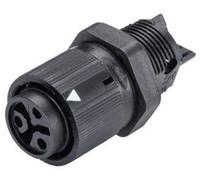 Cosse cylindrique mâle Wieland Electric 46.031.5053.1 embase femelle Nombre total de pôles: 2 + PE Série (connecteur rond): RST®