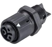 Cosse cylindrique mâle Wieland Electric 46.031.5053.1 embase femelle Nombre total de pôles: 2 + PE Série (connecteur rond): RST®