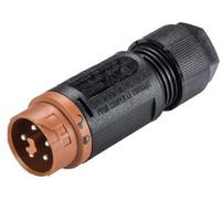 Cosse cylindrique mâle Wieland Electric 46.052.4550.4 mâle, droit Nombre total de pôles: 5 Série (connecteur rond): RST® MINI